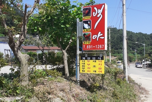 백야엑소미어 뷰티카페