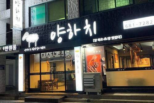 양하치