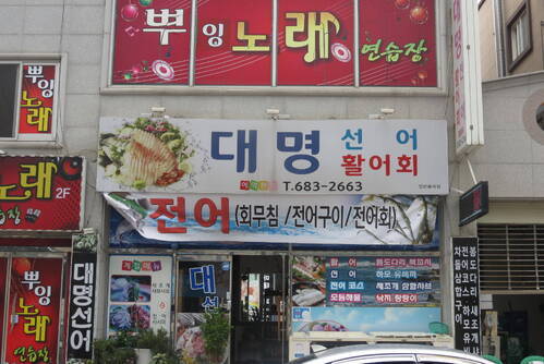 대명선어
